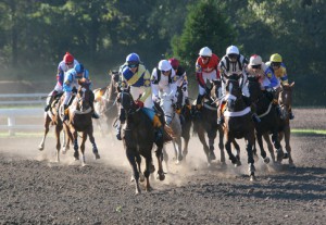 1072620-velka-pardubicka.jpg